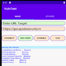 WebApp Vulnerability Test APK