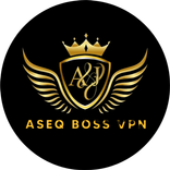 ASEQ BOSS VPN