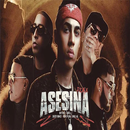 Asesina Remix - Brytiago APK