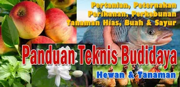 Budidaya Hewan & Tanaman