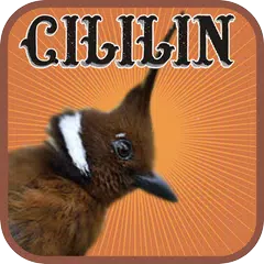 Cililin アプリダウンロード