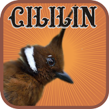 Crested Jay icon