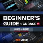Beginners Guide for Cubase 11  icône