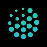 Belong - Meet New People APK
