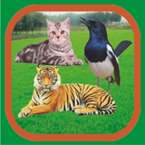 Animal Sounds آئیکن
