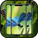Insect Wallpapers APK