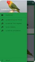 lovebirds chirping screenshot 1