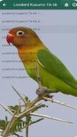 lovebirds chirping screenshot 2