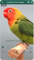 lovebirds chirping screenshot 3