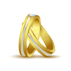 Icona Basic Marriage Biodata Maker
