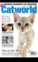 Cat World poster