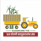 Sugarcane TVS ícone