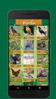 برنامه‌نما Birds & Animal Sounds عکس از صفحه