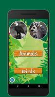 Birds & Animal Sounds Plakat