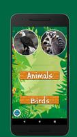 Birds & Animal Sounds Affiche