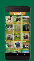 Birds & Animal Sounds imagem de tela 1