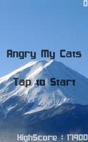 Angry My Cats الملصق