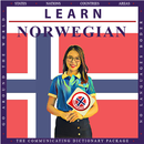Learn Norwegian APK