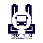 Erzurum Ulaşım ikona