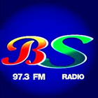 ikon Brisas Radio 97.3