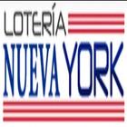 Loteria Nueva York آئیکن