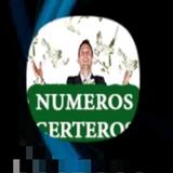 Numeros Certeros ไอคอน