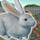 Rabbit Friends - caring games APK