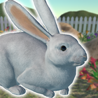 Rabbit Friends - caring games biểu tượng