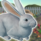 Rabbit Friends - caring games-APK