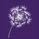 ASL Flurry APK
