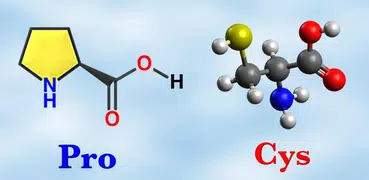 アミノ酸 - 構造についてのクイズとフラッシュカード