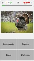 Dieren - Zoogdieren en vogels screenshot 3