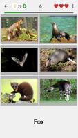 Animals Quiz Learn All Mammals স্ক্রিনশট 1