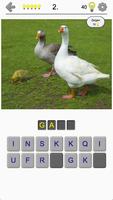Vögel der Welt: Berühmtes Quiz Plakat