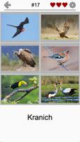Vögel der Welt: Berühmtes Quiz Screenshot 1