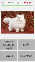 Gatos - Quiz sobre as raças imagem de tela 3