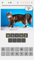 Cats Quiz پوسٹر