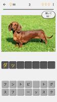 犬 - すべての一般的な犬の品種に関するクイズ スクリーンショット 1