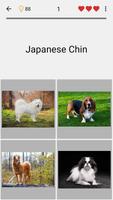 Dogs Quiz ảnh chụp màn hình 3