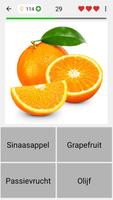 Vruchten en groenten screenshot 3