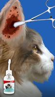 Cat ASMR постер