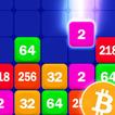 junte-se ao quebra-cabeça: BTC