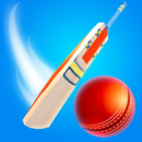 Perfect Cricket Game APK