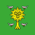 Sorengo