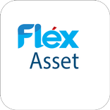 Flex Asset