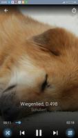 2 Schermata Classical Sleep Music