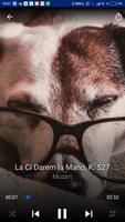 Mozart Sleep Music screenshot 2