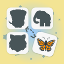 Complete The Set - Silhouettes APK