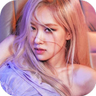 Black.pink Rose Photo Gallery icon