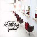 ASPIRE qualia APK